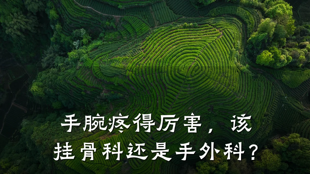 手腕疼得厉害,该挂骨科还是手外科?