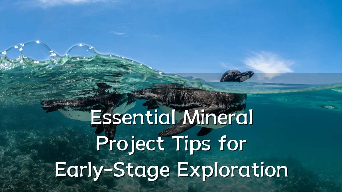 Essential Mineral Project Tips for Early-Stage Exploration