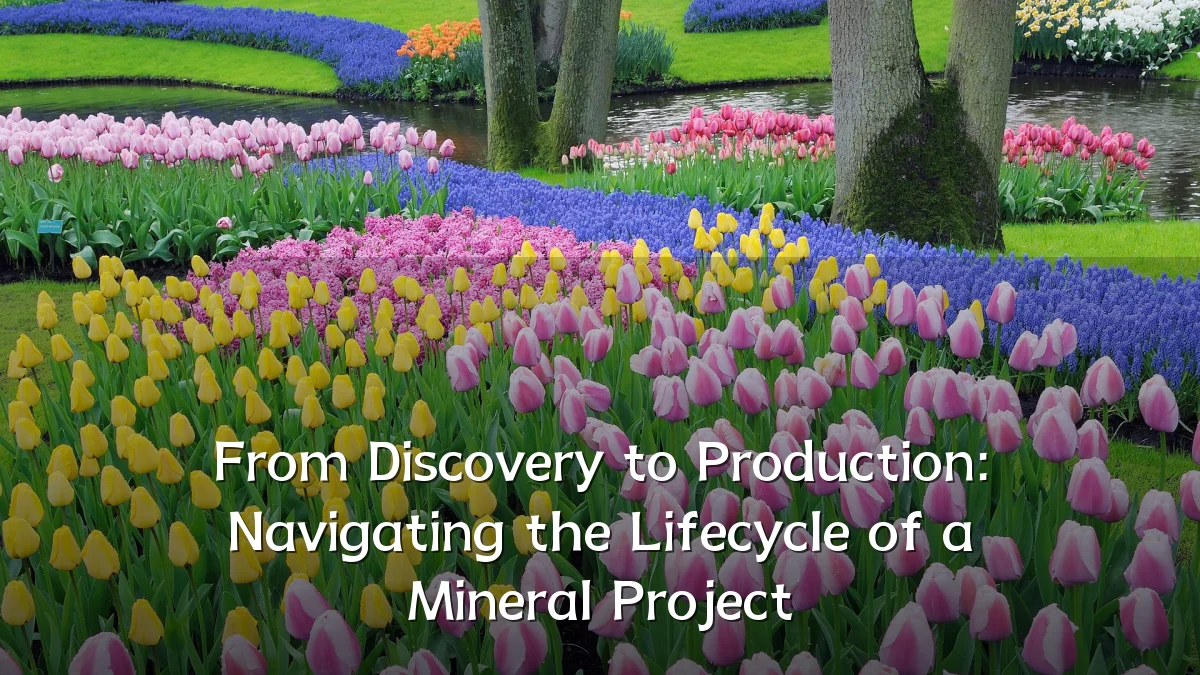 From Discovery to Production: Navigating the Lifecycle of a Mineral Project