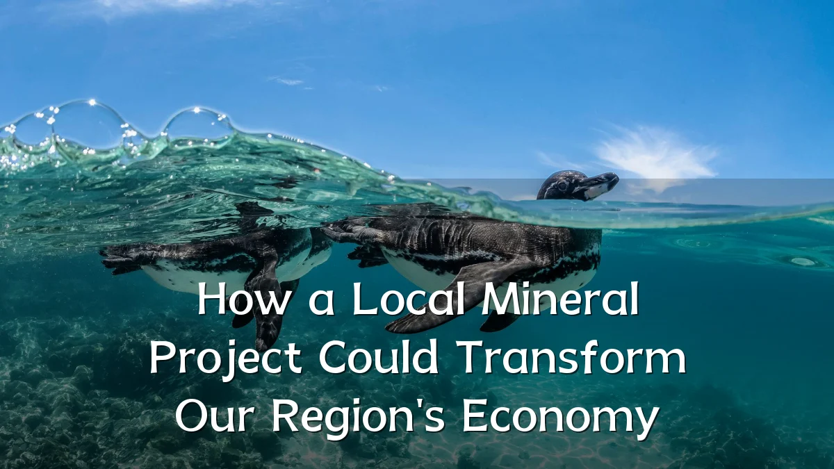 How a Local Mineral Project Could Transform Our Region's Economy