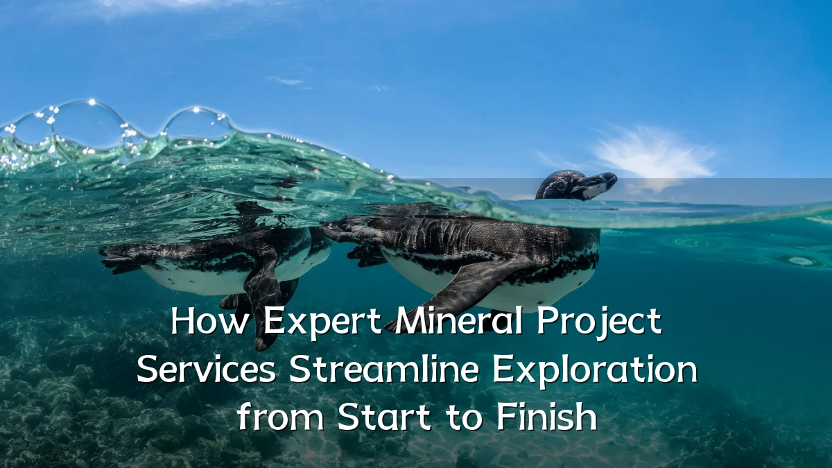 How Expert Mineral Project Services Streamline Exploration from Start to Finish