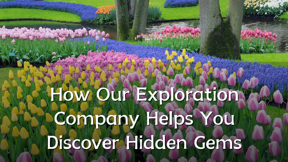 How Our Exploration Company Helps You Discover Hidden Gems