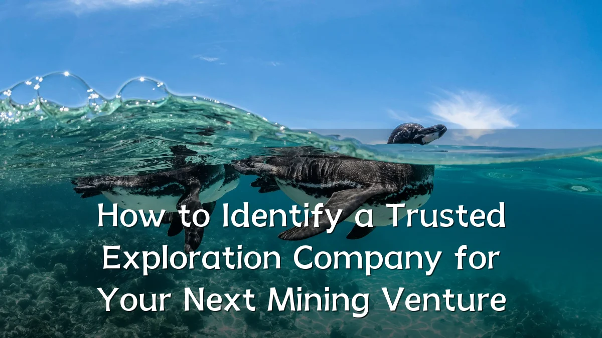 How to Identify a Trusted Exploration Company for Your Next Mining Venture