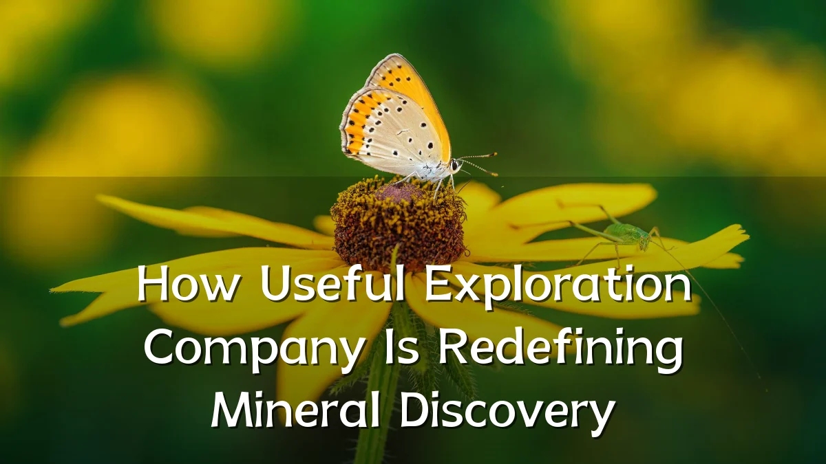 How Useful Exploration Company Is Redefining Mineral Discovery