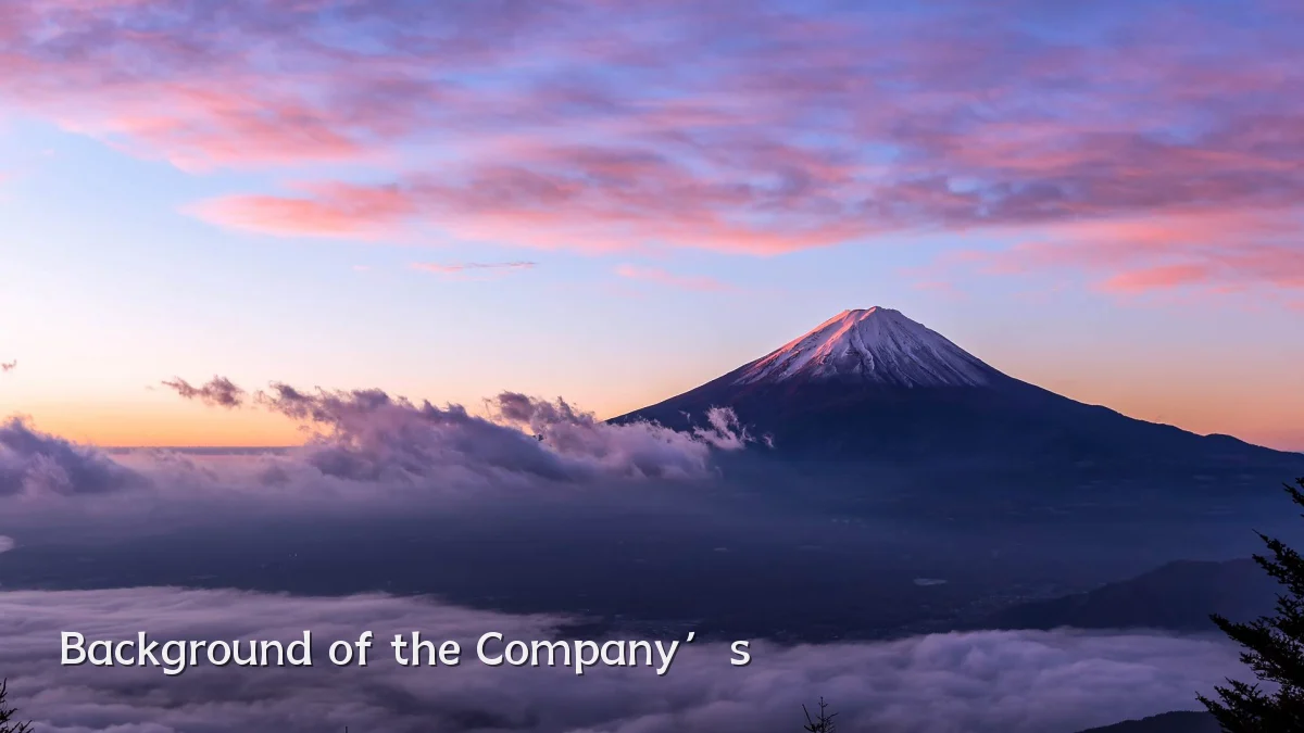Background of the Company’s