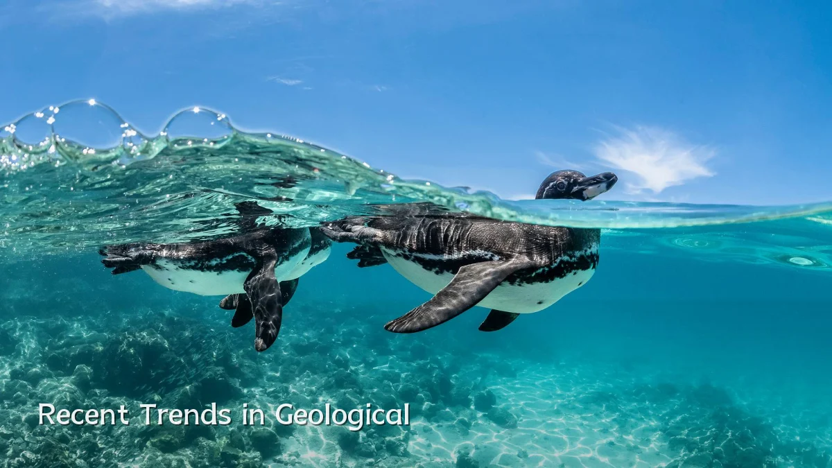 Recent Trends in Geological