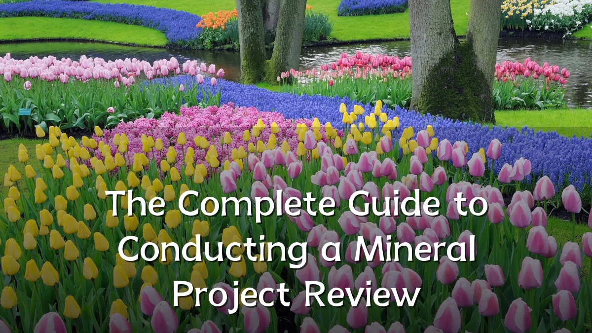 The Complete Guide to Conducting a Mineral Project Review