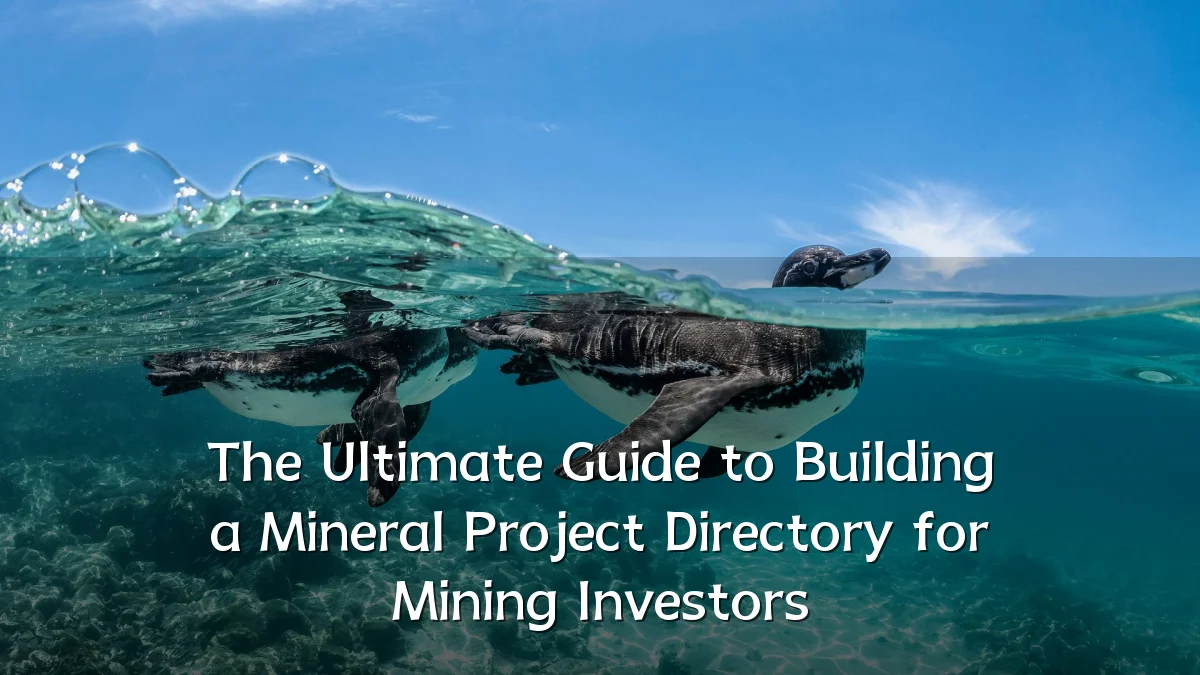 The Ultimate Guide to Building a Mineral Project Directory for Mining Investors