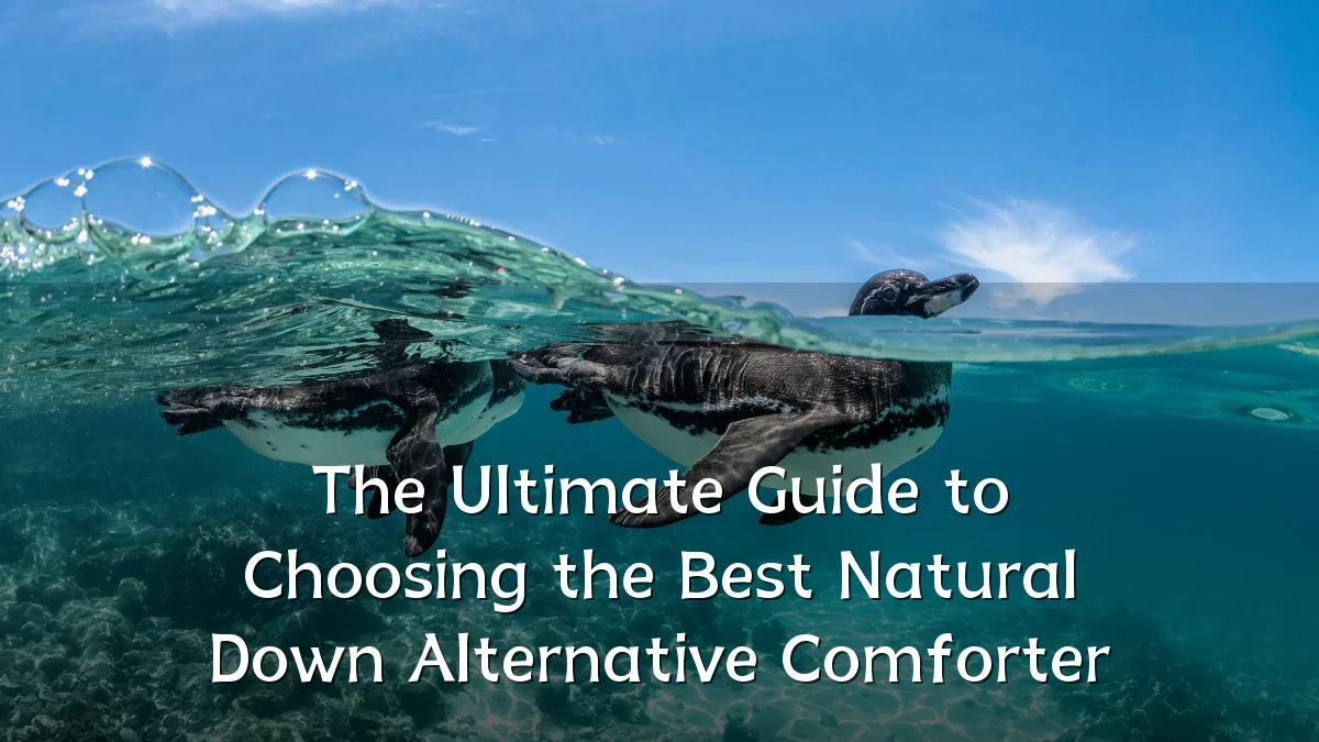 The Ultimate Guide to Choosing the Best Natural Down Alternative Comforter