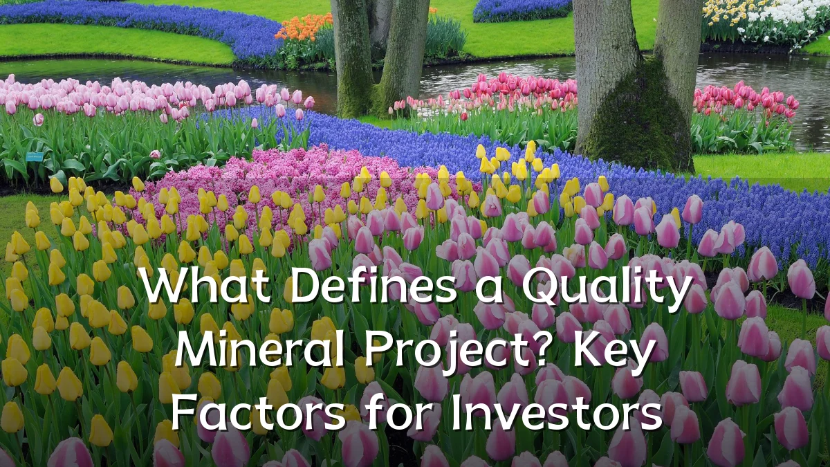What Defines a Quality Mineral Project? Key Factors for Investors