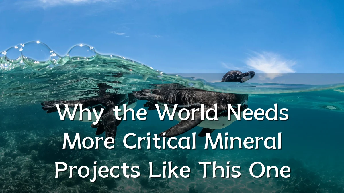 Why the World Needs More Critical Mineral Projects Like This One