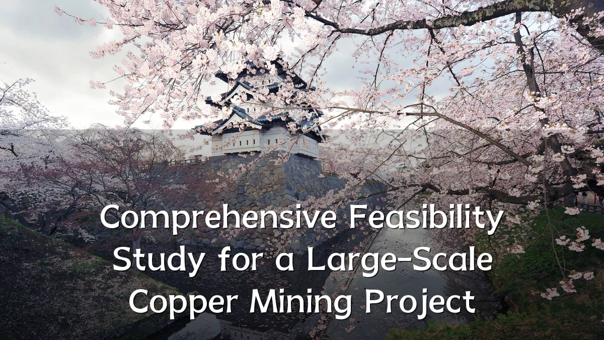 Comprehensive Feasibility Study for a Large-Scale Copper Mining Project