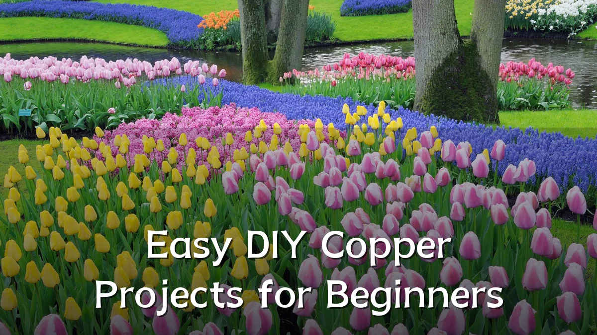 Easy DIY Copper Projects for Beginners