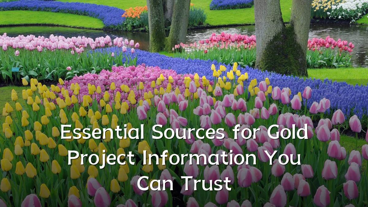 Essential Sources for Gold Project Information You Can Trust