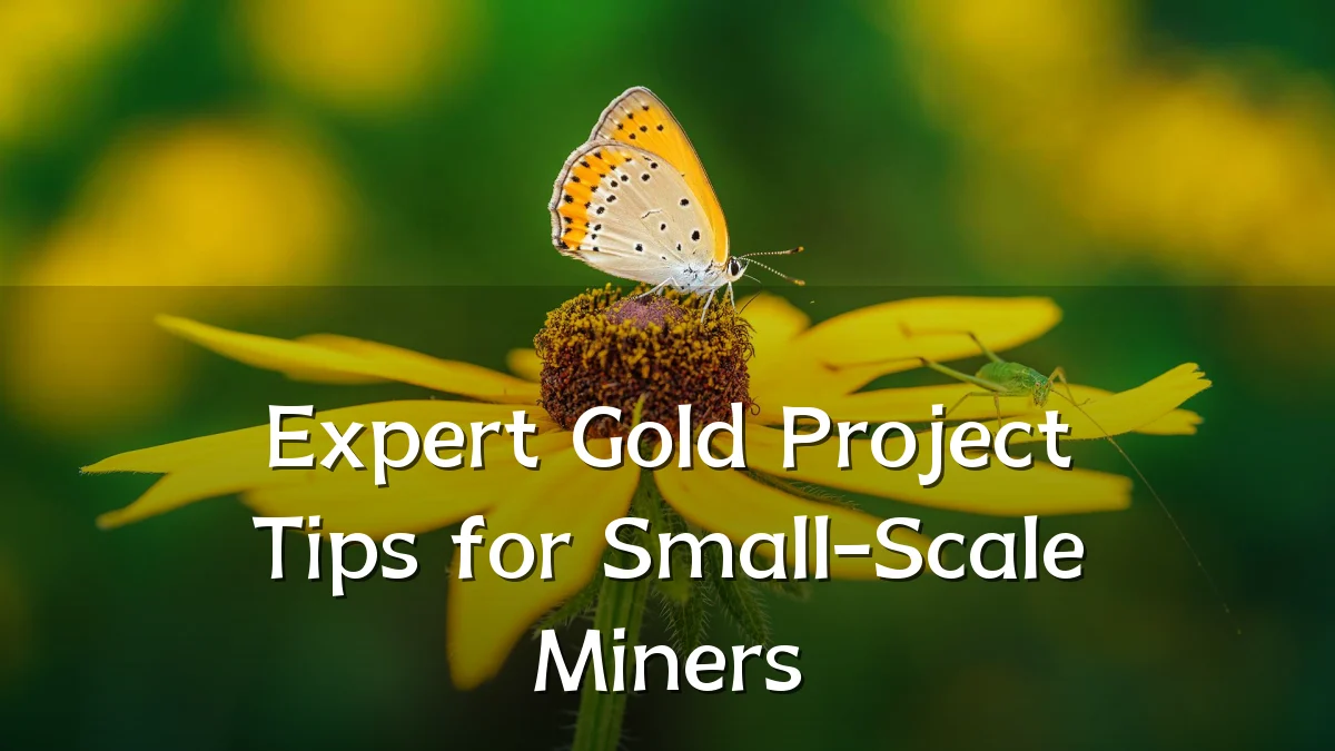 Expert Gold Project Tips for Small-Scale Miners