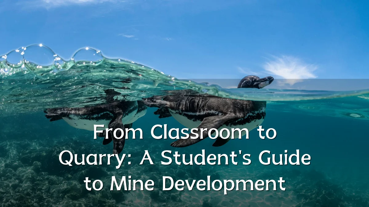 From Classroom to Quarry: A Student's Guide to Mine Development