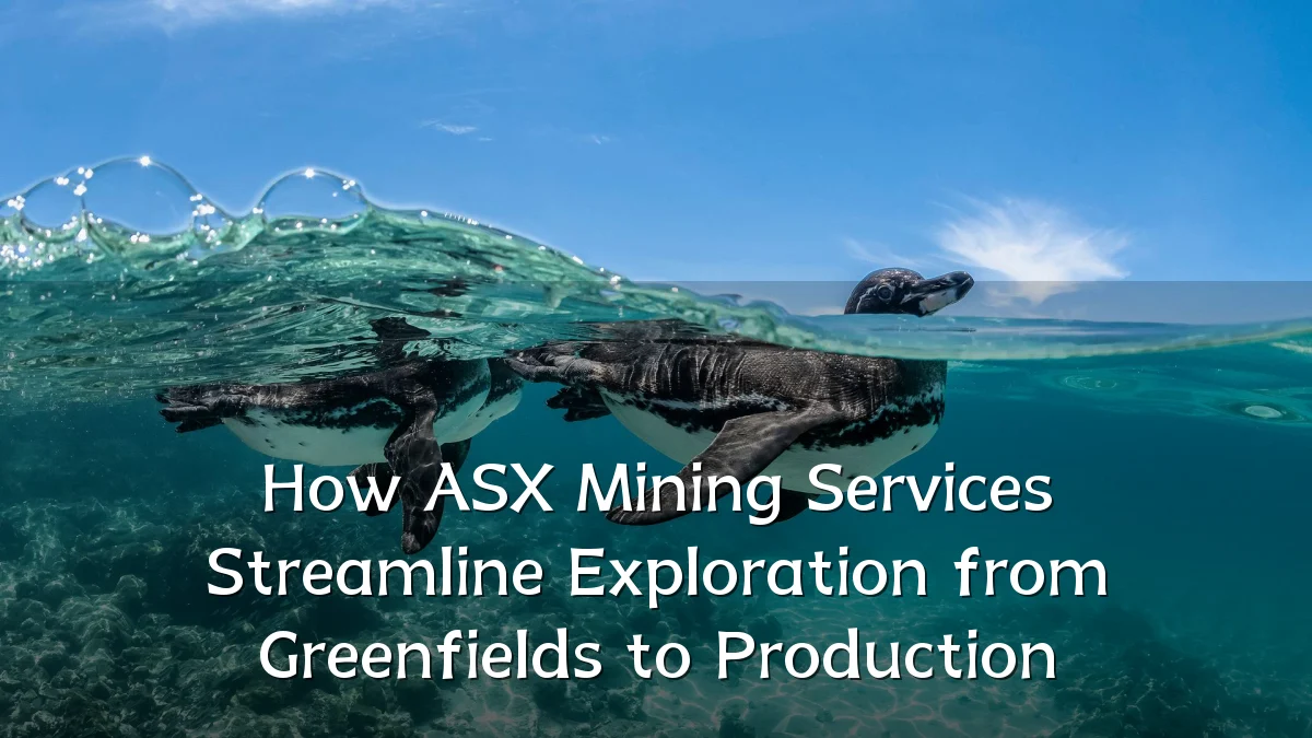 How ASX Mining Services Streamline Exploration from Greenfields to Production