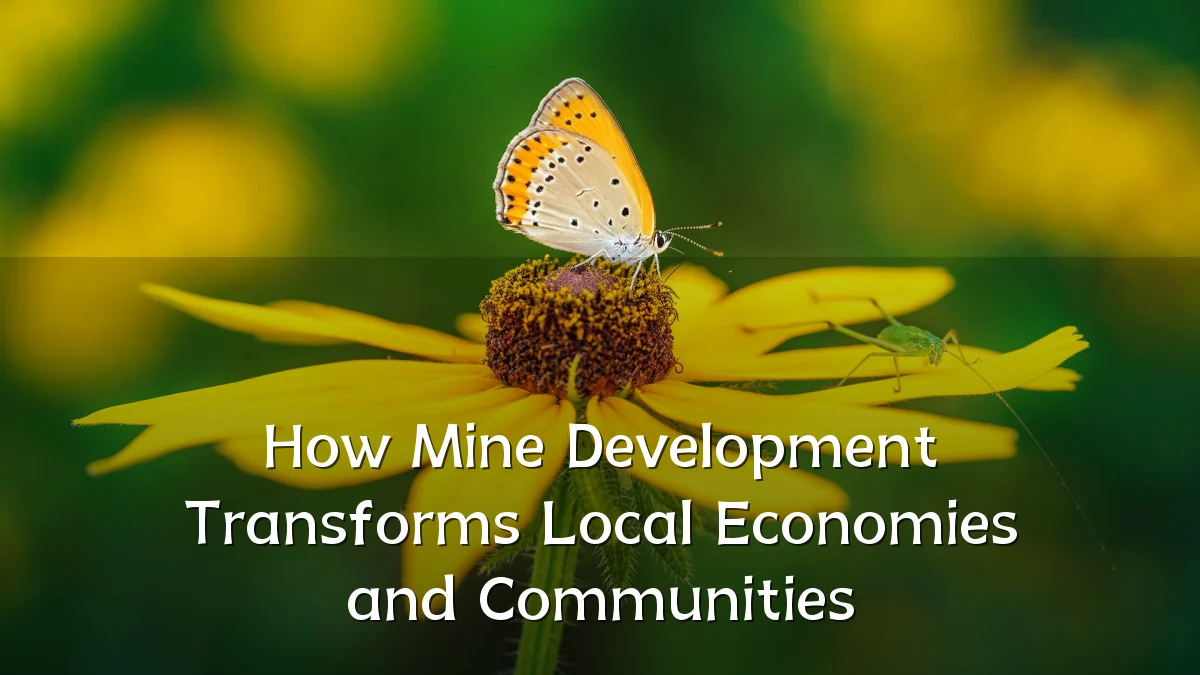 How Mine Development Transforms Local Economies and Communities
