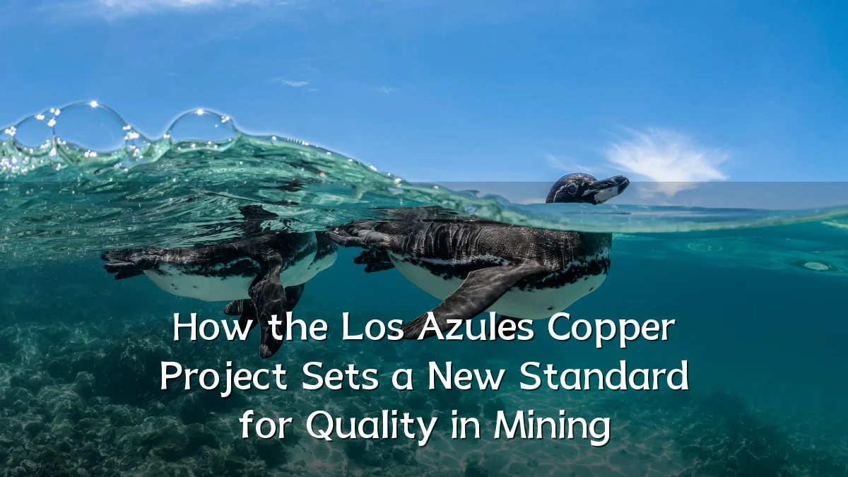 How the Los Azules Copper Project Sets a New Standard for Quality in Mining