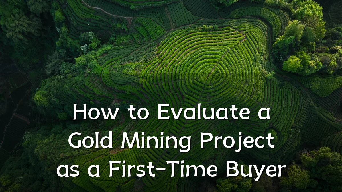 How to Evaluate a Gold Mining Project as a First-Time Buyer