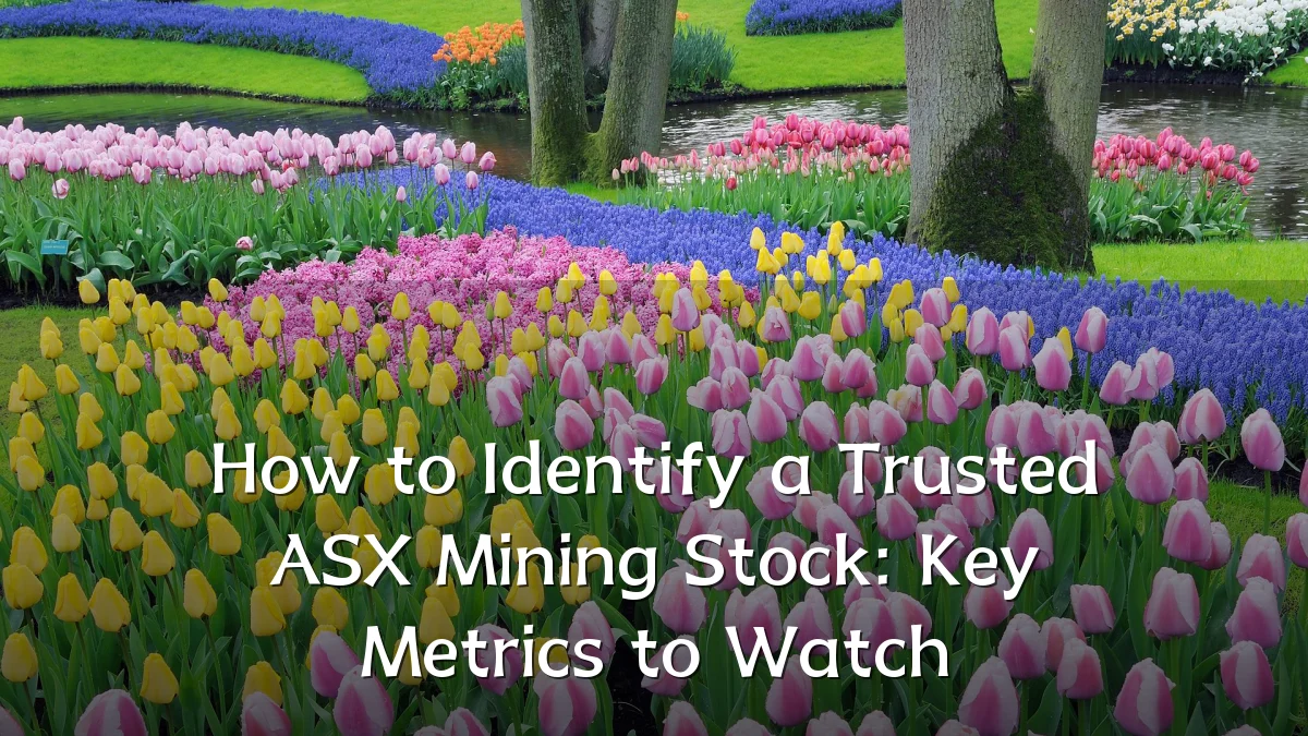How to Identify a Trusted ASX Mining Stock: Key Metrics to Watch
