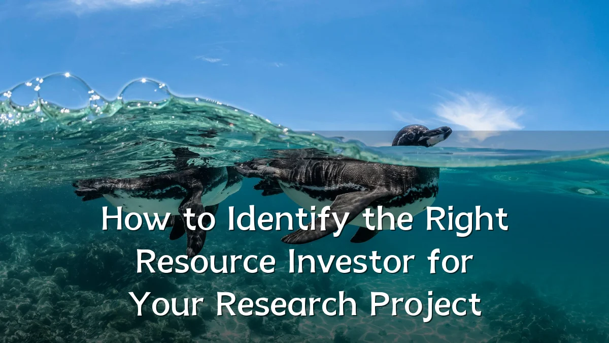 How to Identify the Right Resource Investor for Your Research Project