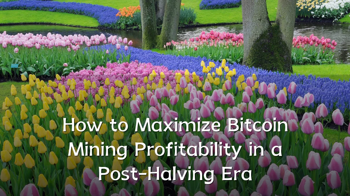 How to Maximize Bitcoin Mining Profitability in a Post-Halving Era