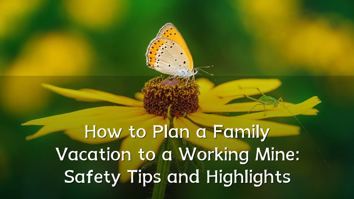 How to Plan a Family Vacation to a Working Mine: Safety Tips and Highlights