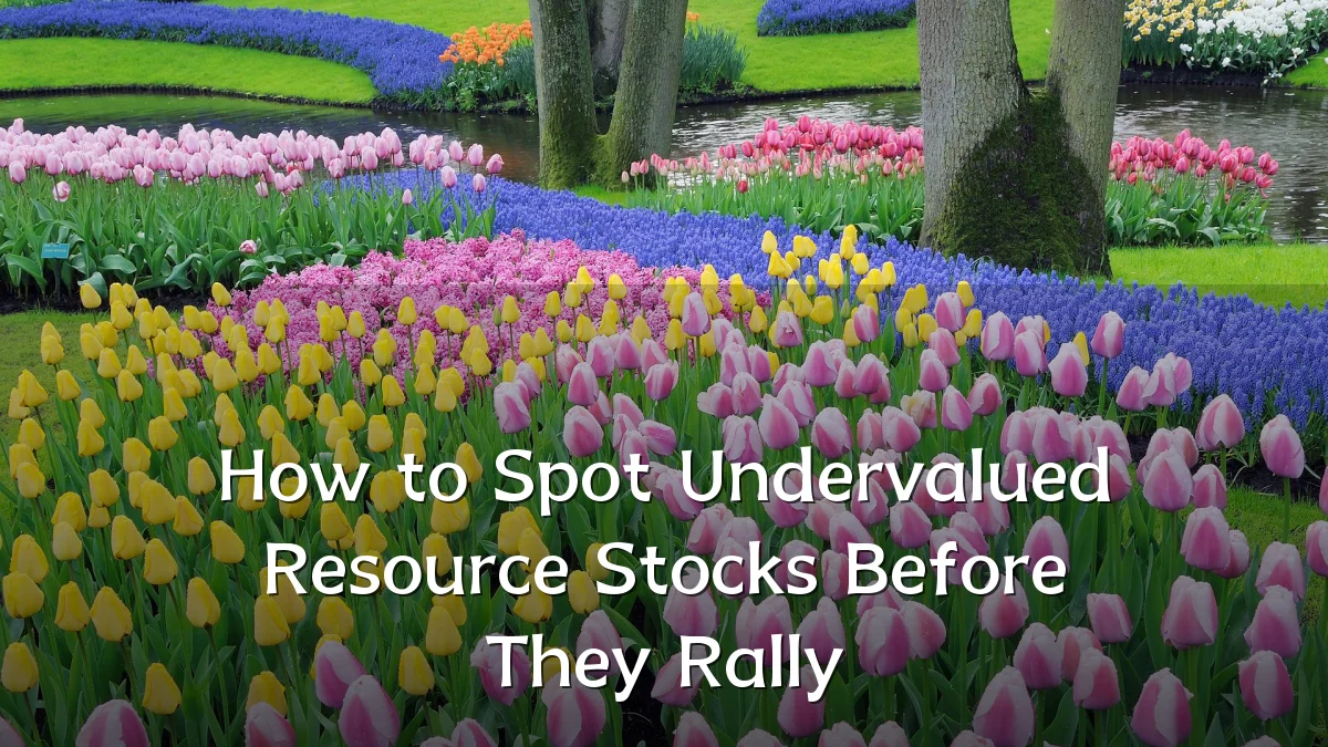 How to Spot Undervalued Resource Stocks Before They Rally