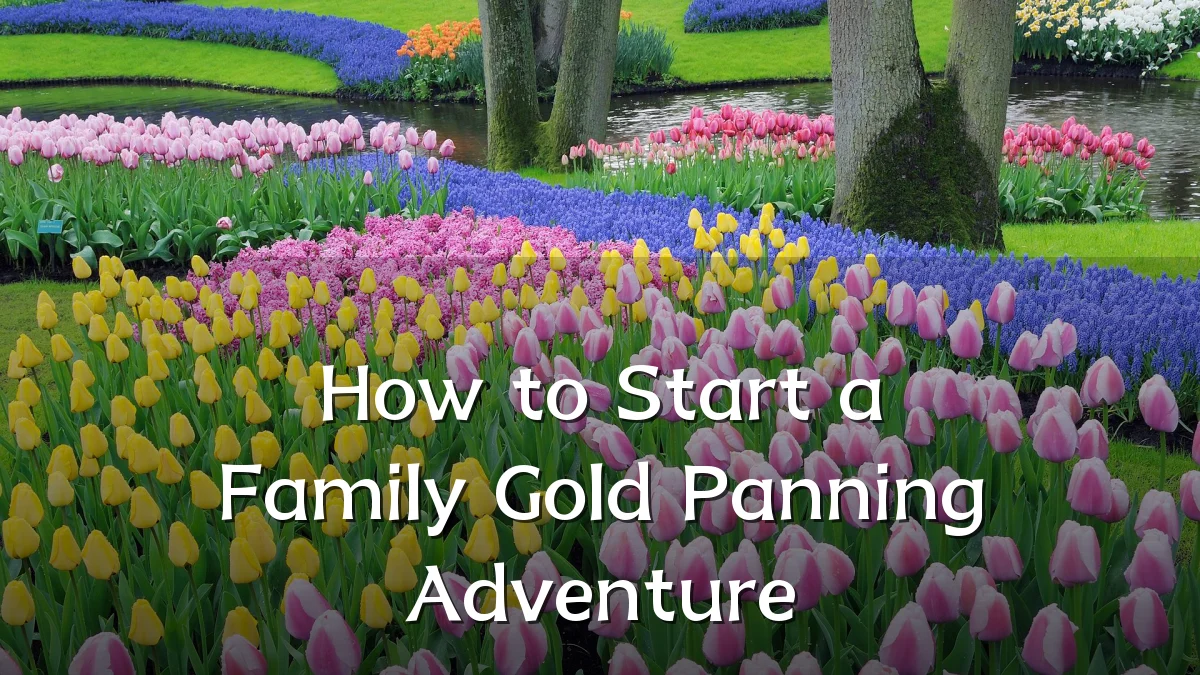 How to Start a Family Gold Panning Adventure