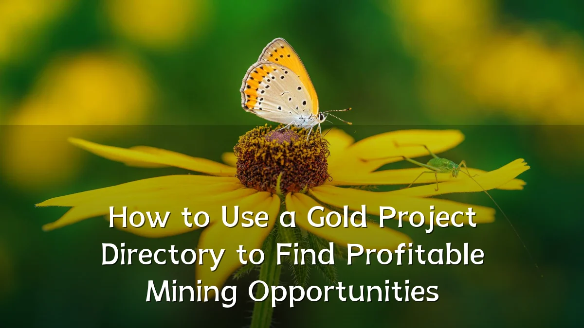 How to Use a Gold Project Directory to Find Profitable Mining Opportunities