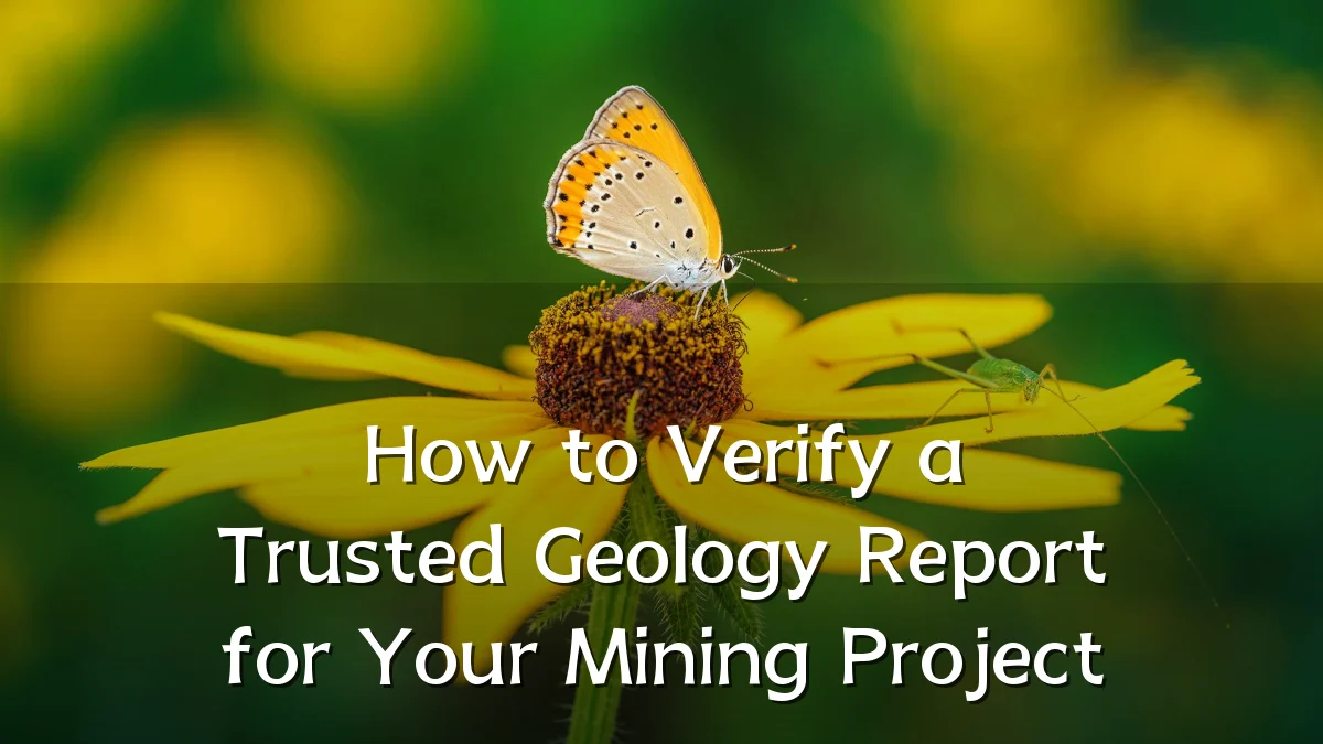 How to Verify a Trusted Geology Report for Your Mining Project