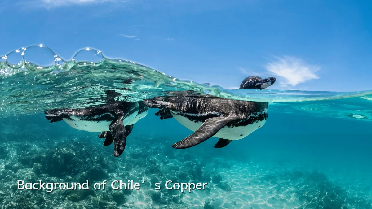 Background of Chile’s Copper
