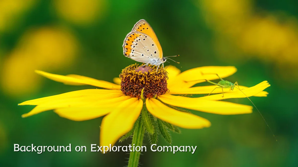 Background on Exploration Company