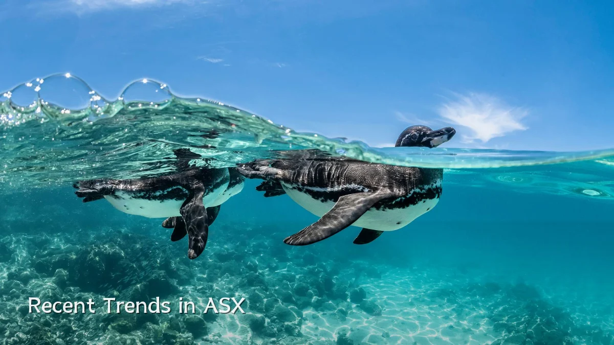 Recent Trends in ASX