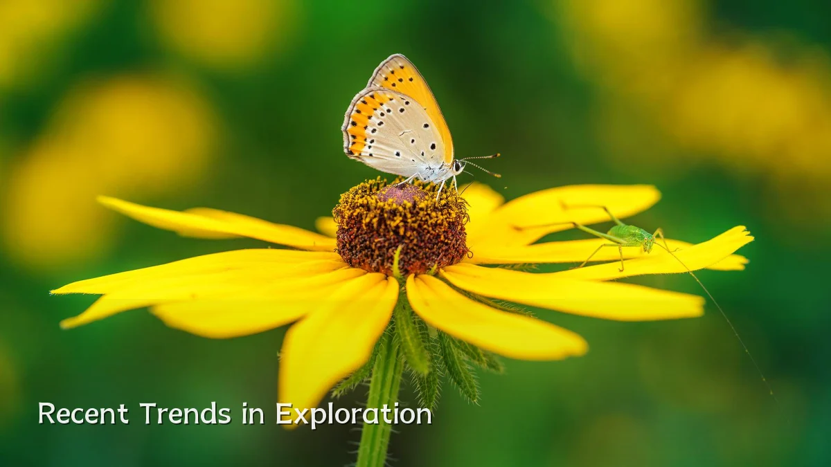 Recent Trends in Exploration