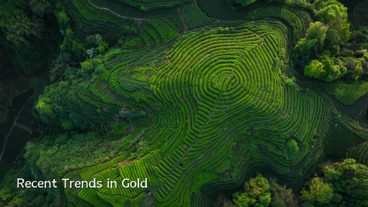 Recent Trends in Gold