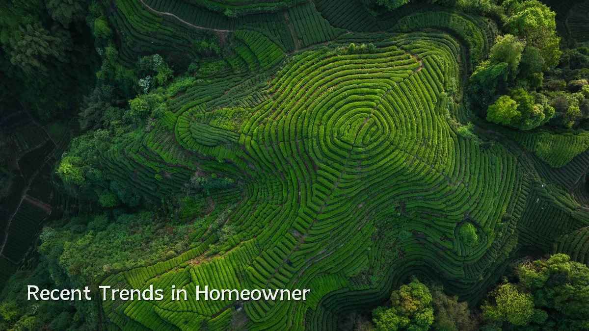 Recent Trends in Homeowner