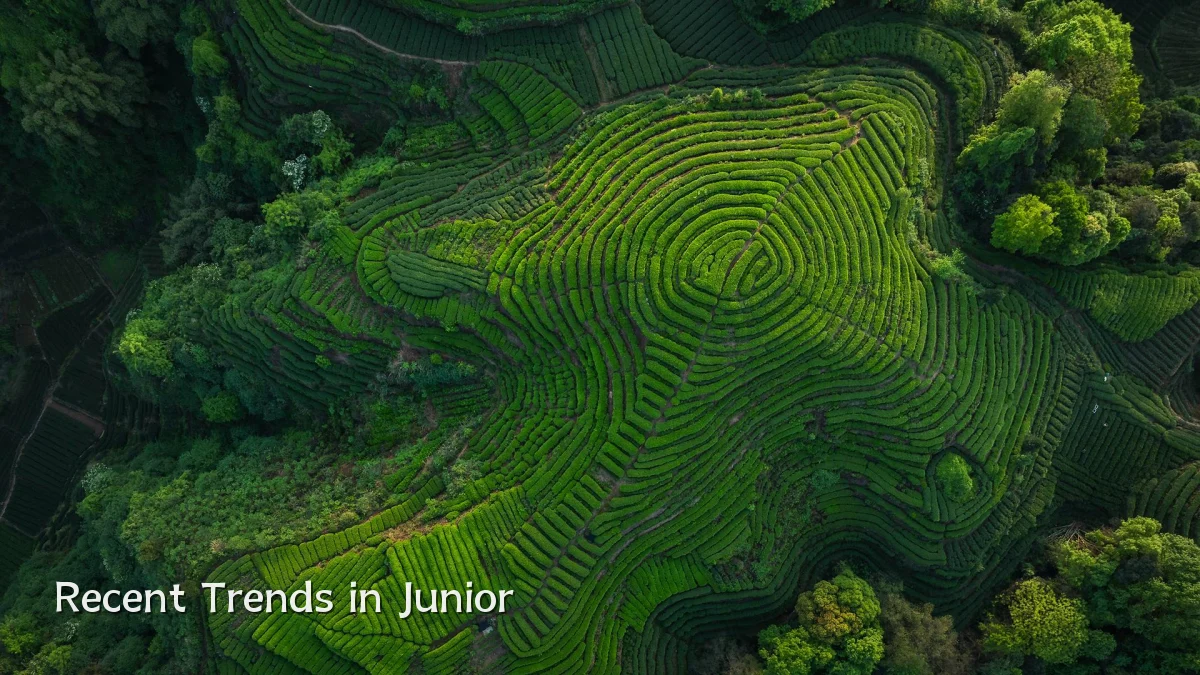 Recent Trends in Junior