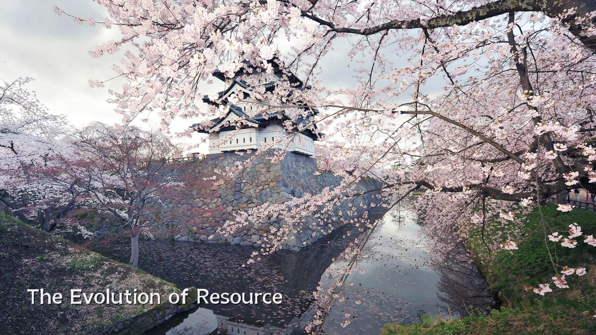 The Evolution of Resource