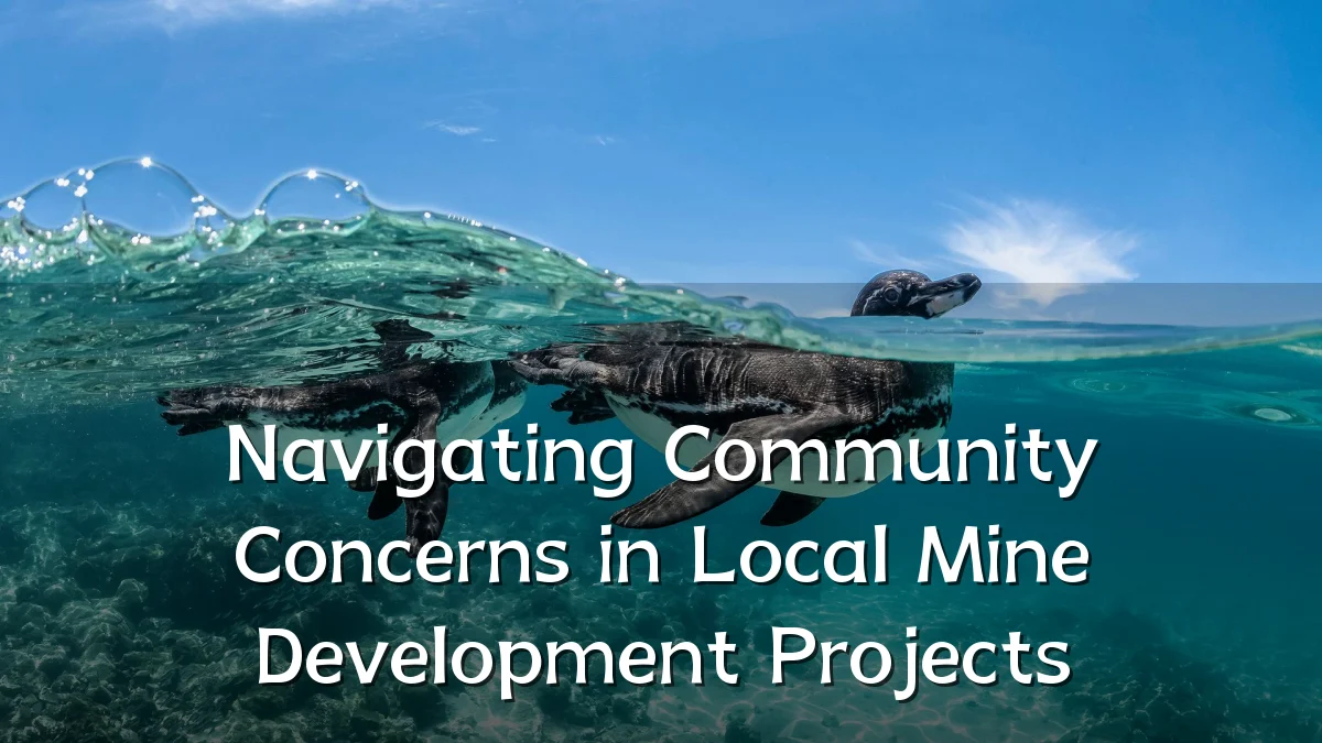 Navigating Community Concerns in Local Mine Development Projects