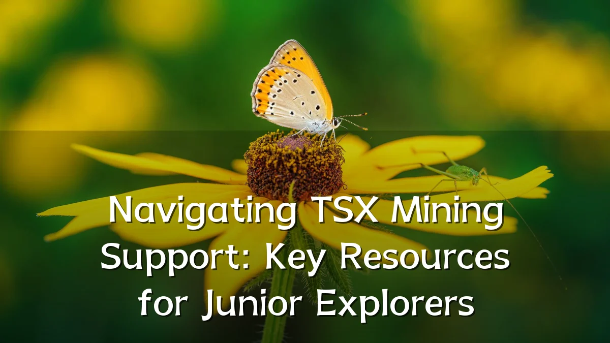 Navigating TSX Mining Support: Key Resources for Junior Explorers