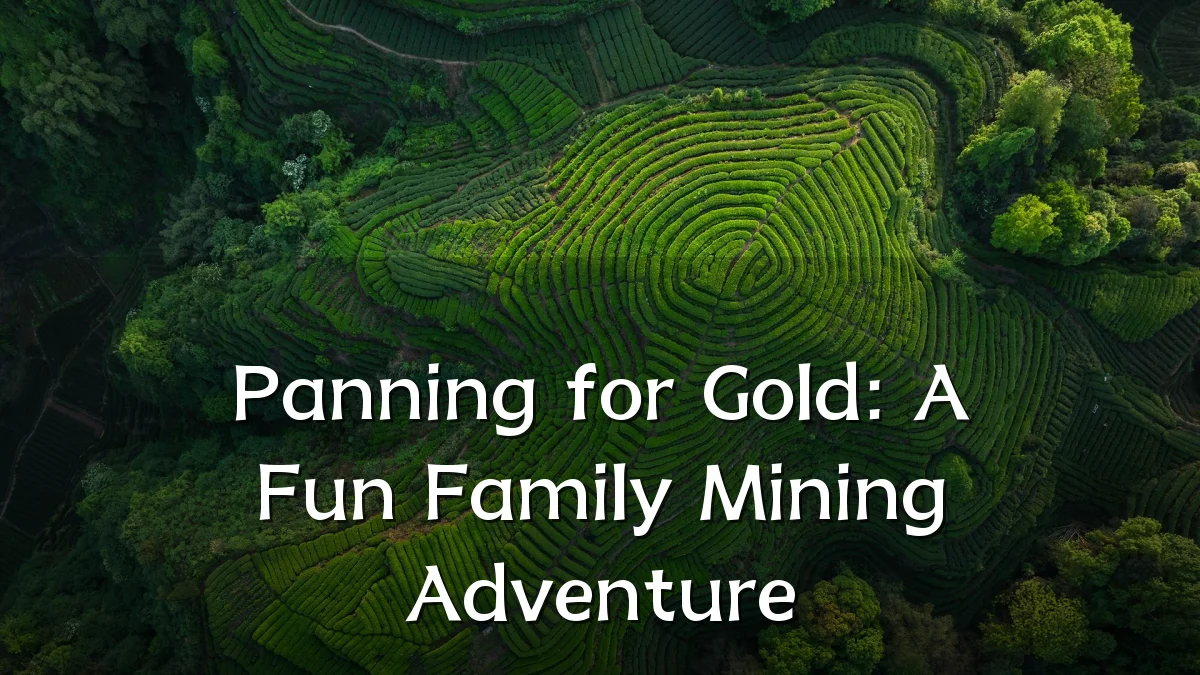 Panning for Gold: A Fun Family Mining Adventure
