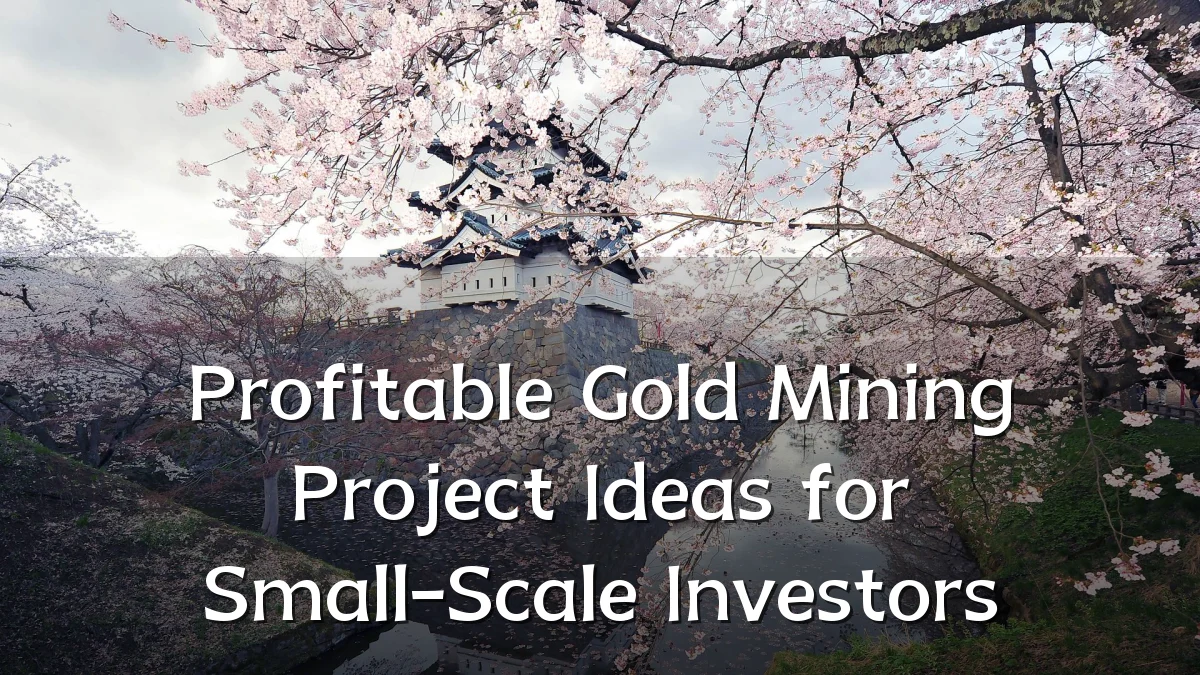 Profitable Gold Mining Project Ideas for Small-Scale Investors