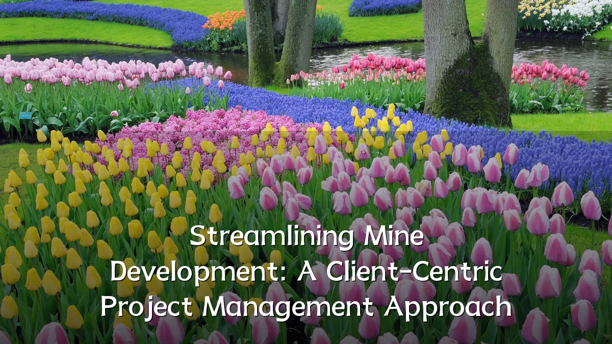 Streamlining Mine Development: A Client-Centric Project Management Approach