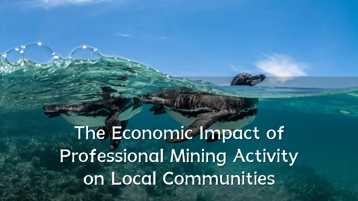 The Economic Impact of Professional Mining Activity on Local Communities