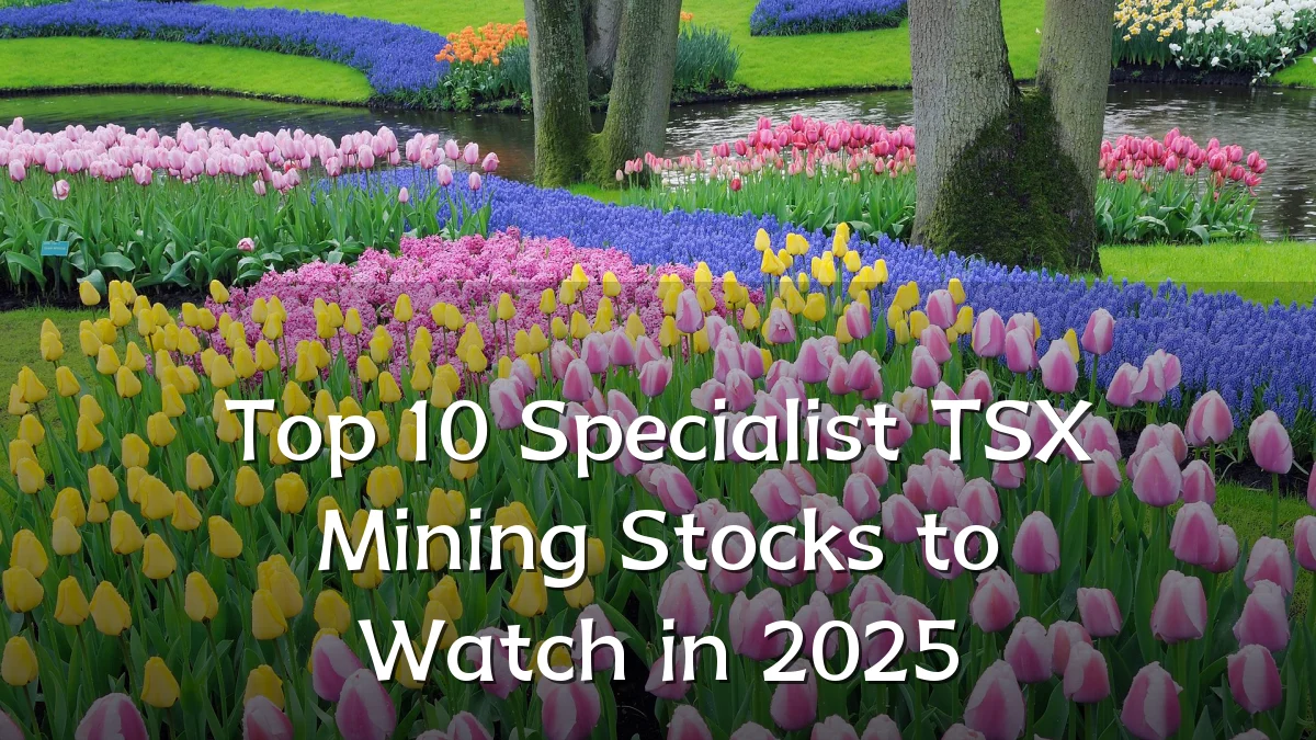 Top 10 Specialist TSX Mining Stocks to Watch in 2025