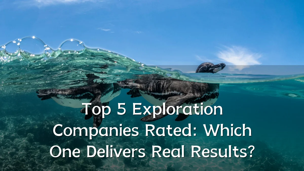 Top 5 Exploration Companies Rated: Which One Delivers Real Results?