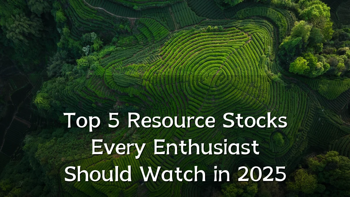 Top 5 Resource Stocks Every Enthusiast Should Watch in 2025