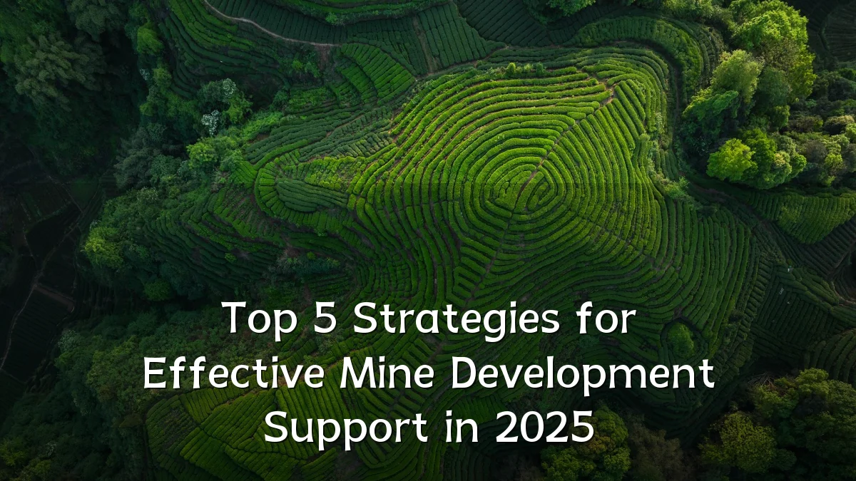Top 5 Strategies for Effective Mine Development Support in 2025